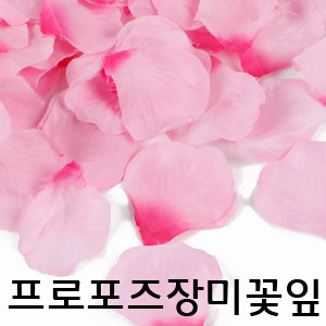장미꽃잎(핑크)150개